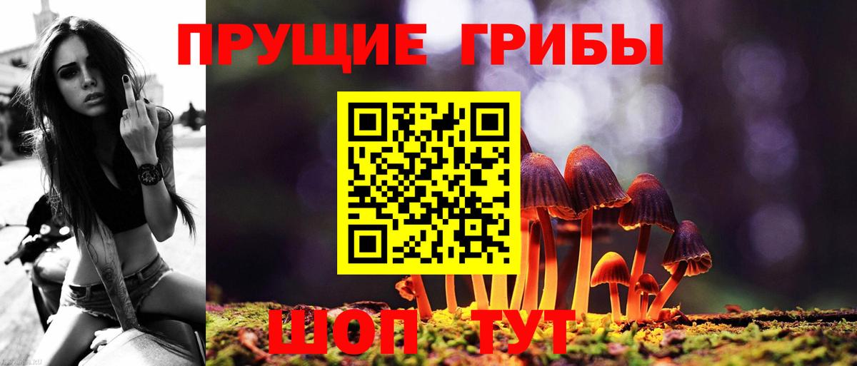 Галлюциногенные грибы GOLDEN TEACHER  Галлюциногенные грибы мицелий  Вход с VPN  Сокол 